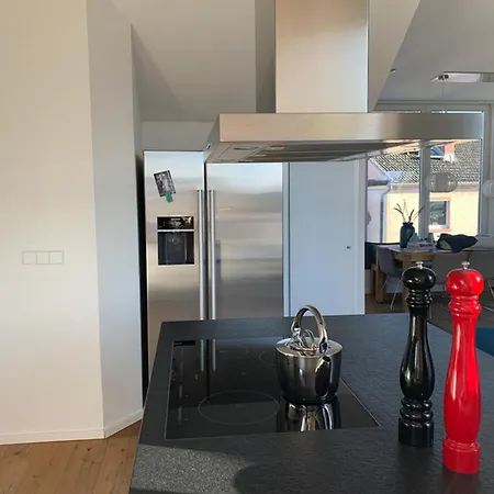 Penthouse Loft Style Rooftop Terrace Ecb View Frankfurt am Main